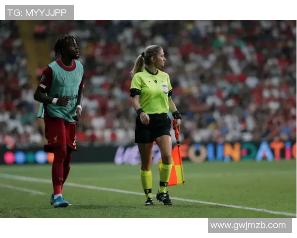 英超足球明星贴纸高清图集尽显球星风采与激情瞬间 英超足球明星贴纸高清图集尽显球星风采与激情瞬间