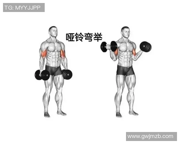 提升力量与塑形的最佳选择练习哑铃让你拥有健康体魄与完美身材