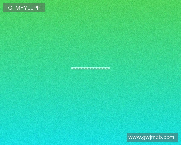 篮球明星比赛装备揭秘助你提升球技与比赛表现的必备利器